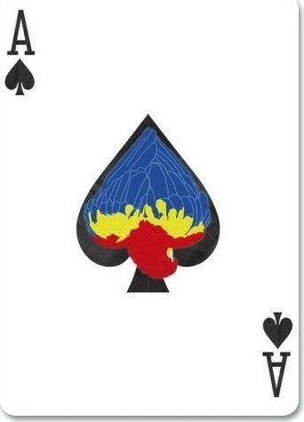 Карты "Infinity playing cards by D3PSY Standard index"