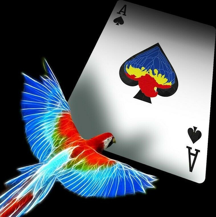 Карты "Infinity playing cards by D3PSY Standard index"