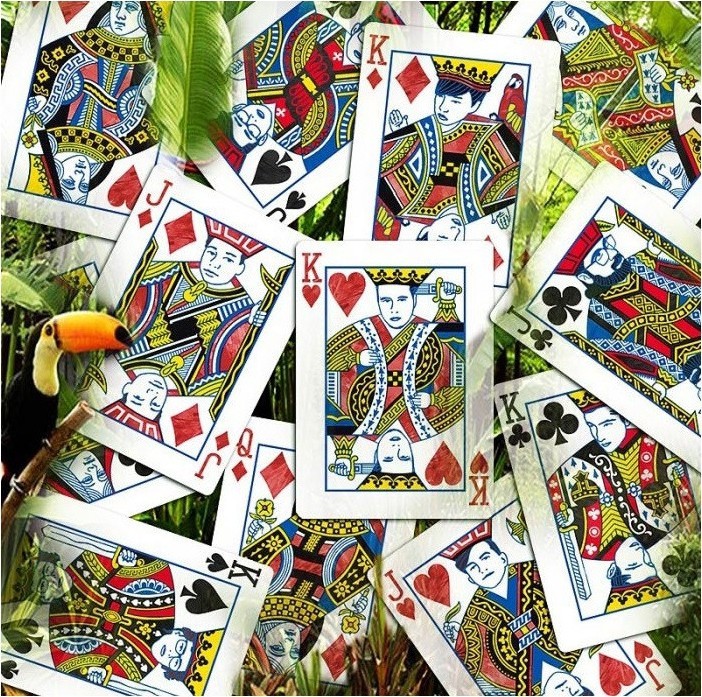 Карты "Infinity playing cards by D3PSY Standard index"