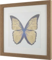 Картины Tomas Stern 83009