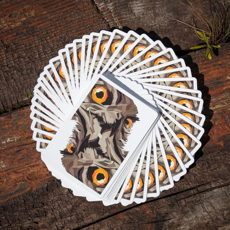 Карты "The Watcher playing cards Standard Index"