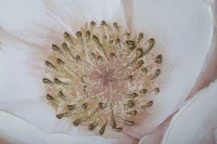 Картины Tomas Stern 85063