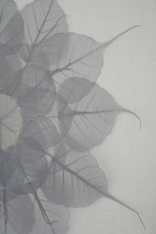 Картины Tomas Stern 83033