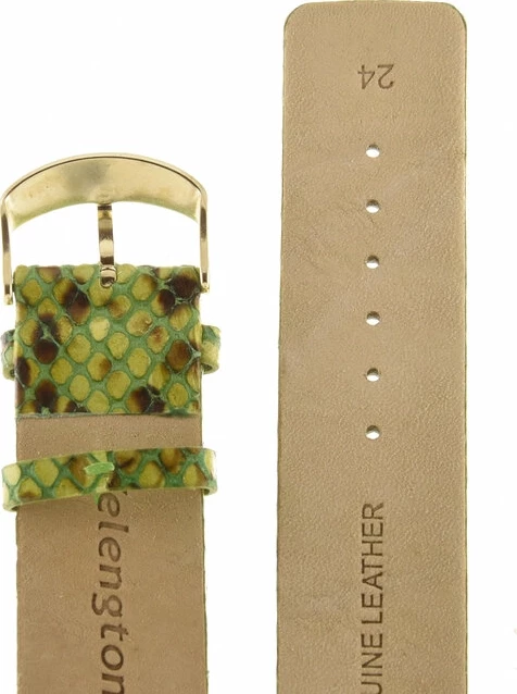 Ремешки velengton 24 зел змея зол заст