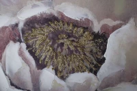 Картины Tomas Stern 85058