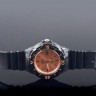 Наручные часы lrw-200h-9e2
