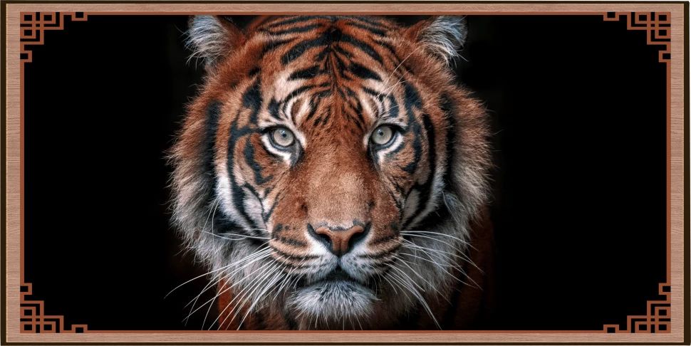 Нарды + Шашки Сирия Тигр большие (Россия, дерево, 60 см), Partida