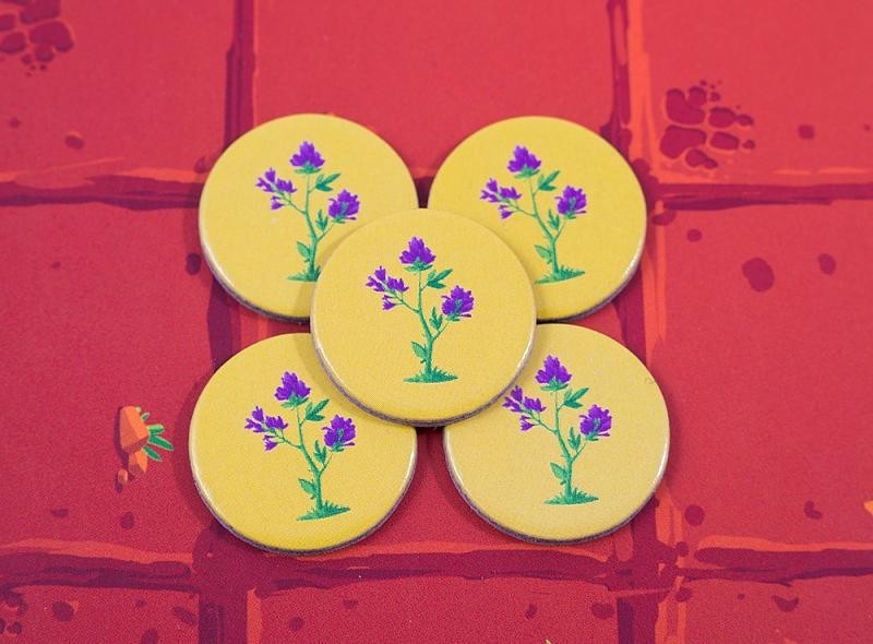 Команда кенгуру (Kang)