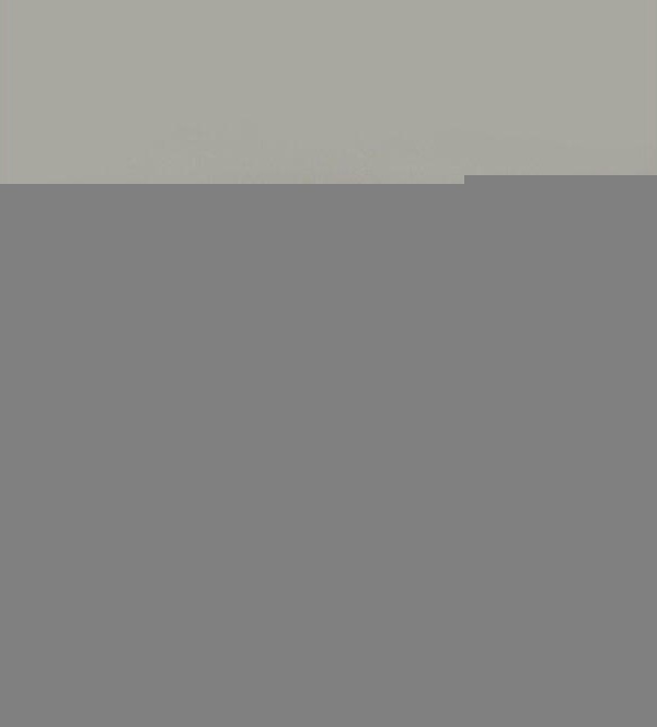 Наручные часы w-219hc-8b