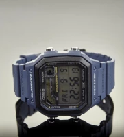 Наручные часы ws-1600h-2a