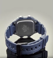 Наручные часы ws-1600h-2a