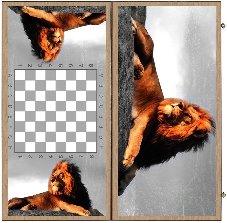 Нарды + Шашки Сирия Лев в Саванне большие (Россия, дерево, 60 см), Partida