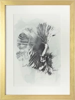 Картины Tomas Stern 83023