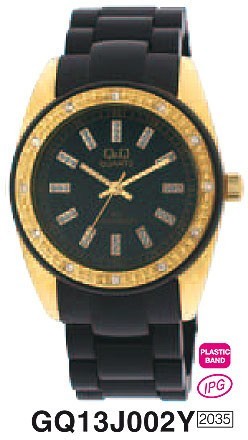 Наручные часы q&q   gq13j002y rus